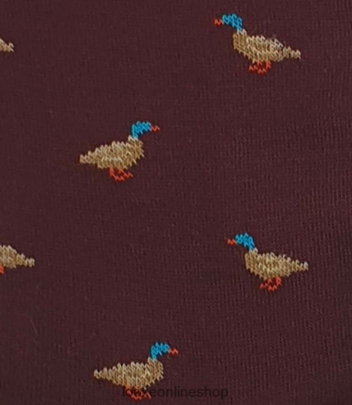 Loake Duck Socks 4V044258 Accessories Burgundy