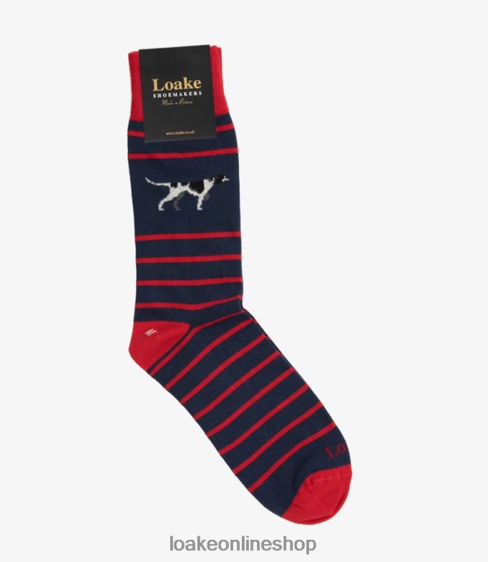 Loake Pointer Socks 4V044251 Accessories Navy