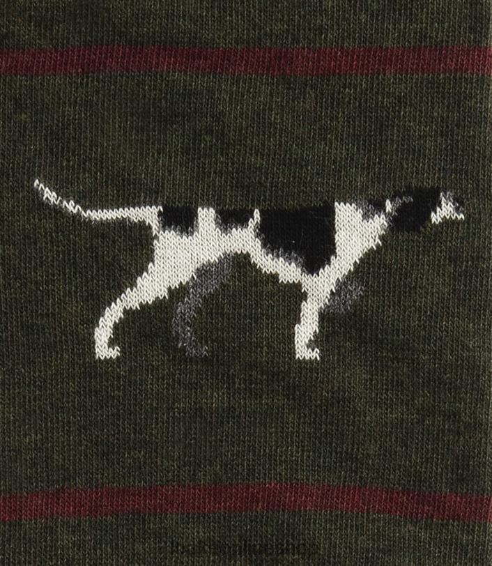 Loake Pointer Socks 4V044252 Accessories Green