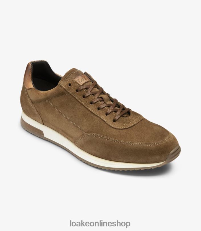 Loake Bannister 4V04440 Trainers & Sneakers Tan Suede