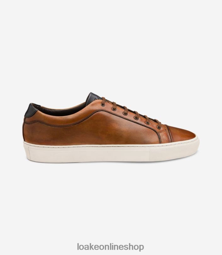 Loake Dash 4V04428 Trainers & Sneakers Chestnut Brown