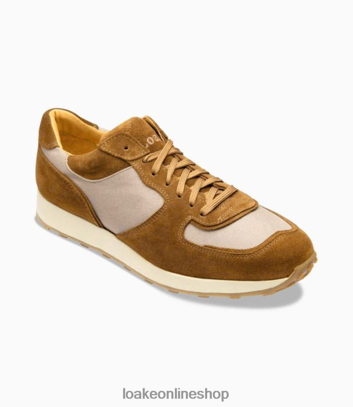 Loake Foster 4V04435 Trainers & Sneakers Tan Suede