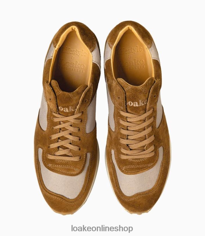 Loake Foster 4V04435 Trainers & Sneakers Tan Suede