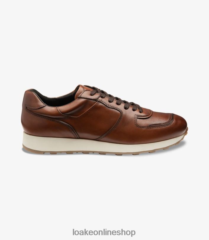 Loake Foster 4V04438 Trainers & Sneakers Cedar