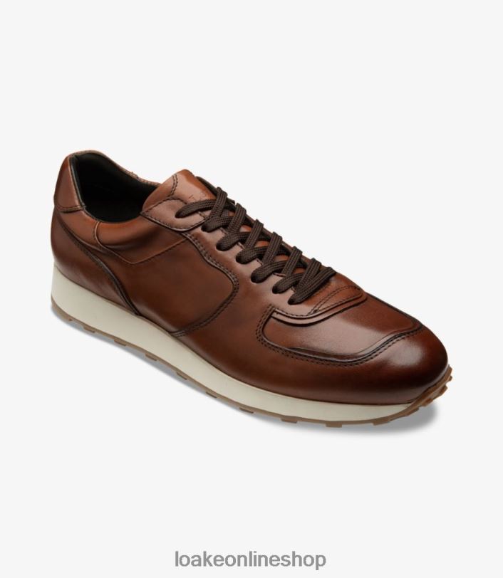 Loake Foster 4V04438 Trainers & Sneakers Cedar