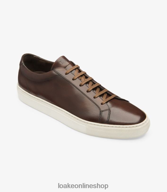 Loake Sprint 4V04431 Trainers & Sneakers Dark Brown