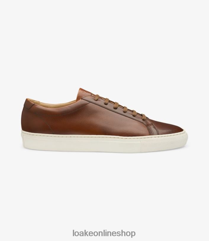 Loake Sprint 4V04432 Trainers & Sneakers Brown