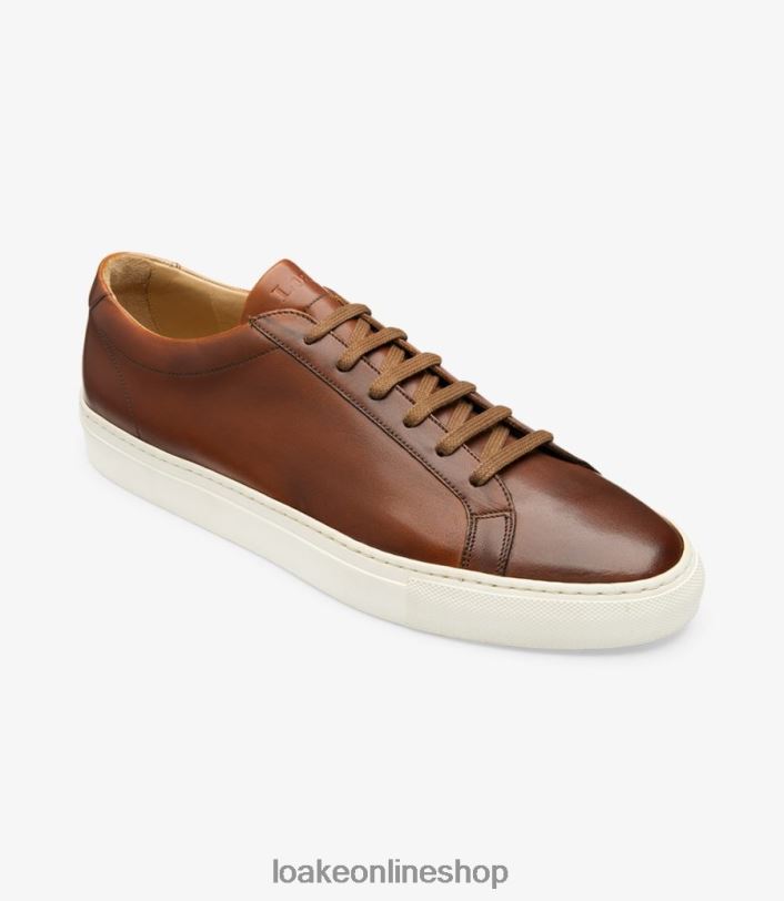 Loake Sprint 4V04432 Trainers & Sneakers Brown